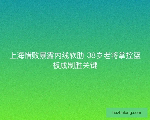 上海惜败暴露内线软肋 38岁老将掌控篮板成制胜关键